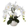Composition d'orchidée et de saule tire-bouchon artificielle LULUDI, pot en céramique blanc, racines, blanc, 55cm