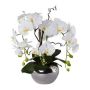 Composition d'orchidée et de saule tire-bouchon artificielle LULUDI, pot en céramique argenté, racines, blanc, 55cm