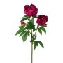 Branche de fleurs artificielles Pivoine SLORVE, cerise, 70cm