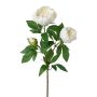 Branche de fleurs artificielles Pivoine SLORVE, blanc, 70cm