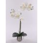 Orchidée Phalaenopsis artificielle KAREN, pot décoratif, effet givré, blanc, 50 cm
