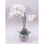 Orchidée Phalaenopsis artificielle KAREN, pot décoratif, effet givré, blanche, 60 cm