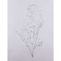 Branche de saule artificielle DONATELLA, argent, 95cm