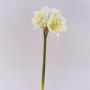 Fleur artificielle Amaryllis MARKUNO, crème-blanc, 65cm, Ø13cm