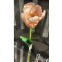 Tulipe perroquet artificielle PETSCHORA, abricot-rose, 65cm