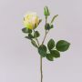 Rose synthétique BARIADY, crème-blanc, 35cm, Ø5,5cm