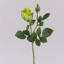 Rose synthétique BARIADY, vert-fuchsia, 35cm, Ø5,5cm