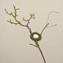 Branche de pommier décorative INDIKIRKA avec un nid d'oiseau, mousse, brun-vert, 75cm