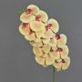 Branche d'orchidée Phalaenopsis artificielle XURI, jaune clair-rose fuchsia, 100cm
