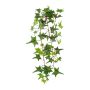 Plante décorative Suspension de lierre LIRMA, piquet, vert, 40cm