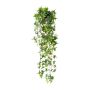 Plante décorative Suspension de lierre LIRMA, piquet, vert, 90cm