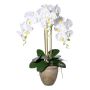 Orchidée Phalaenopsis artificielle FRIMTOR en pot en terre cuite, racines, blanc, 75cm