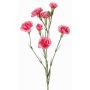 Branche de fleur artificielle, œillet PIARA, fuchsia, 60cm, Ø3-5cm