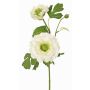 Branche de renoncule synthétique SAGARA, blanc-vert, 45cm, Ø5-9cm