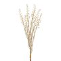 Botte de phytolacca décorative ILMOR, baies, aspect sec, beige, 50cm