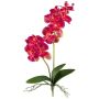 Fleur artificielle Orchidée Phalaenopsis KRUZBER, piquet, racines, rose fuchsia, 55cm