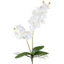 Fleur artificielle Orchidée Phalaenopsis KRUZBER, piquet, racines, blanc, 55cm