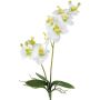 Fleur artificielle Orchidée Phalaenopsis KRUZBER, piquet, racines, blanc-vert, 55cm