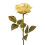 Fleur décorative Rose DRINT, vert-crème, 60cm, Ø10,5cm