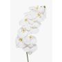 Branche d'orchidée Phalaenopsis artificielle XURI, blanche, 95 cm, Ø 12,5 cm