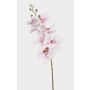 Branche d'orchidée Phalaenopsis artificielle AXELOR, blanc-rose, 85 cm