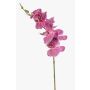 Branche d'orchidée Phalaenopsis artificielle AXELOR, rose, 85 cm