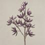 Branche artificielle de Sedum rubrotinctum en mousse synthétique MOMOKA, violet foncé, 105cm