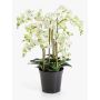 Fleur artificielle : orchidée Phalaenopsis FINEA dans un pot décoratif, crème, 85 cm