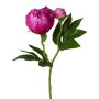 Fleur en plastique Pivoine CORENY, rose fuchsia, 45cm