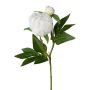 Fleur en plastique Pivoine CORENY, blanc, 45cm