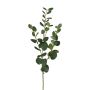 Branche artificielle Eucalyptus JINVAL, vert, 80cm