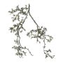 Branche de pommier décorative GLINTO avec des lichens, suspendu, gris-vert, 100cm