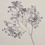 Fleur artificielle de gypsophile MARLIESE, argent, 65cm, Ø1-1,5cm