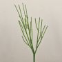 Plante artificielle « crayon » BENEDETTO, verte, 50 cm