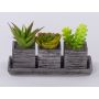 Composition de plantes succulentes artificielles SYLVIA dans des pots décoratifs, vert, 19x7,5x11cm