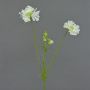 Branche artificielle de scabieuse ANDIA, blanche, 80cm, Ø8-10cm