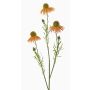 Branche artificielle de rudbeckie CELIO, abricot, 70 cm, Ø 6-7 cm