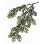 Branche de sapin synthétique SARAS, 55cm