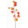 Branche de physalis artificielle PERSEI avec fruits, orange, 80cm