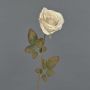 Rose artificielle NAJMA, aspect séché, rose crème, 65 cm, Ø 10 cm