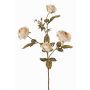 Branche de roses artificielles SITARA, aspect séché, crème-rose, 75cm, Ø5-8cm