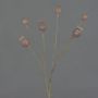 Branche de capsules de pavot artificielle ASUMAN, marron, 70 cm, Ø 2-3 cm