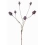 Branche de capsules de pavot artificielle ASUMAN, marron foncé, 70cm, Ø2-3cm
