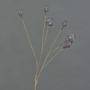 Branche de capsules de pavot artificielle ASUMAN, marron foncé, 70 cm, Ø 2-3 cm