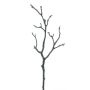 Branche de magnolia artificielle LOSTY, brun, 45cm