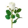 Fleur décorative Rose KLONI, blanc, 50cm