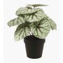 Plante artificielle, bégonia à feuilles MEIRA, vert-gris, 25cm