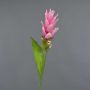 Fausse fleur Curcuma LAROUCO, rose, 75cm, Ø8cm