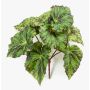 Plante artificielle bégonia à feuilles MEIRA sur tige, vert-noir, 25cm