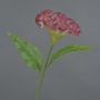 Fleur artificielle « crête de coq » ANUBIS, rose vif, 60 cm, Ø 14 cm